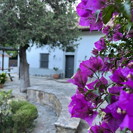 Complejo Rural Huerta Grande Pension Algeciras Buitenkant foto