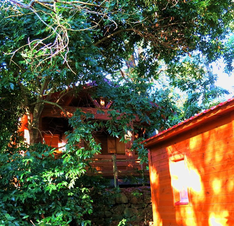Complejo Rural Huerta Grande Pension Algeciras Buitenkant foto