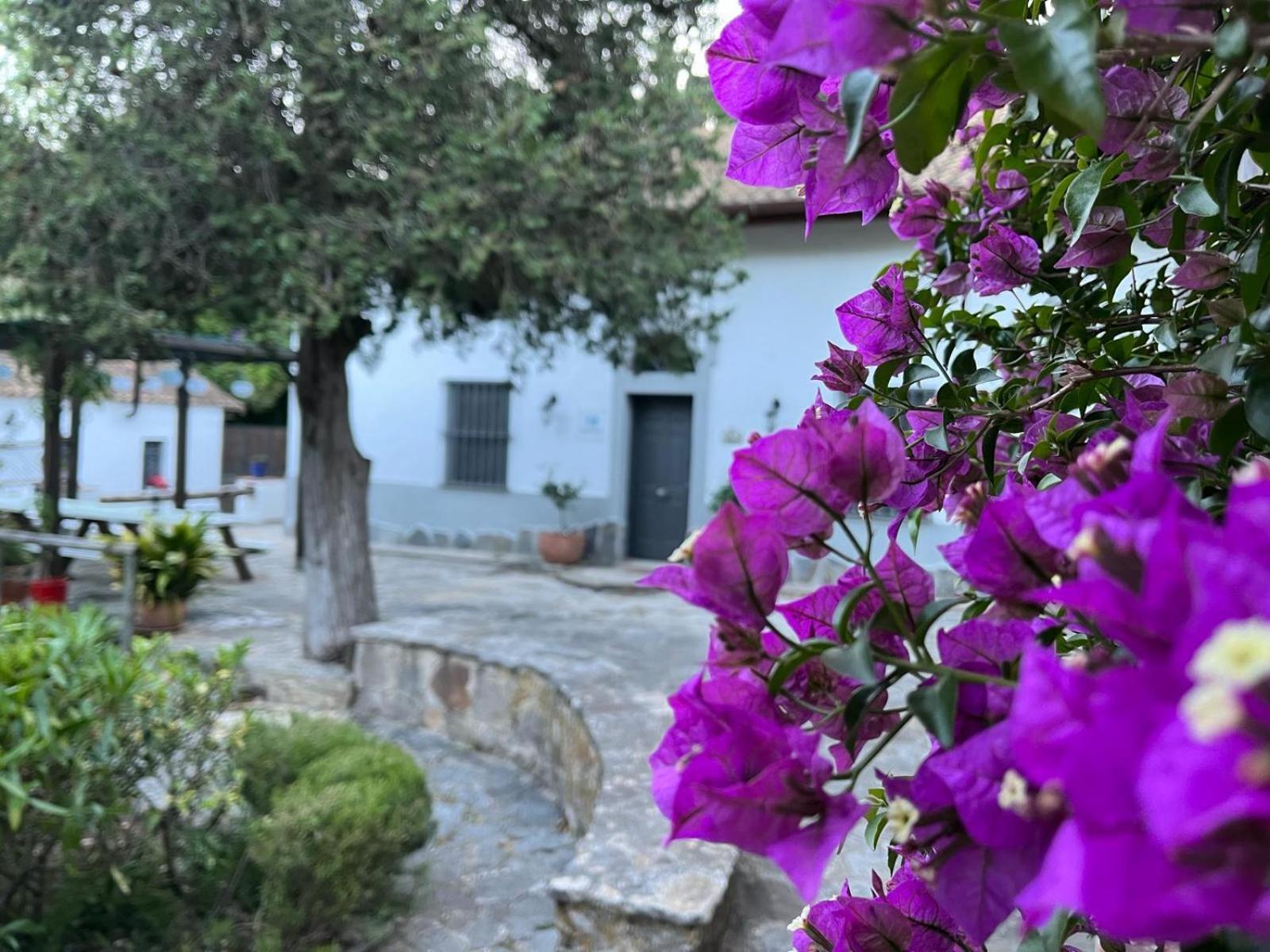 Complejo Rural Huerta Grande Pension Algeciras Buitenkant foto